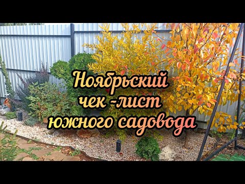 Видео: Ноябрьский садовый календарь. Какие работы НЕ делаю в южном саду осенью. 