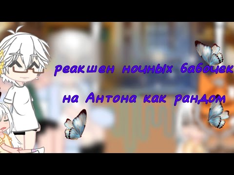 Видео: |Реакция Зайчика на Антона как рандом| Полина/Рома/Антон/Оля/Алиса.