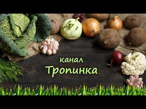 Видео: Часть 2. По следам китайского метода.