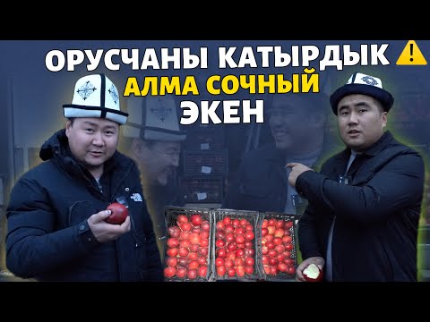 Видео: БЕСПЛАТНО доставка 🆘 шилекейди агызган 🤤 НООКАТ АЛМАСЫ ⚠️ поддержка кылалык 👉🏼 ВИДЕО