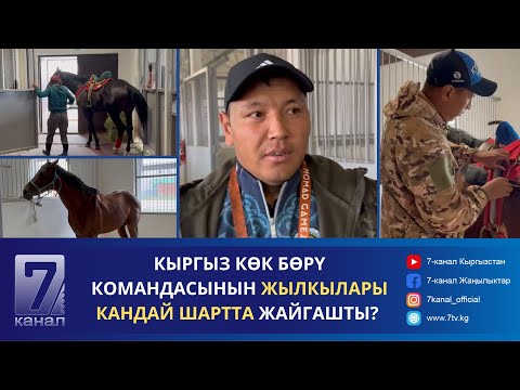 Видео: ДКО-2024: КЫРГЫЗ КӨК БӨРҮ КОМАНДАСЫНЫН ЖЫЛКЫЛАРЫ КАНДАЙ ШАРТТА ЖАЙГАШТЫ?