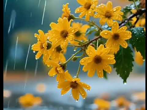 Видео: Рыжая девчонка - ЗОЛОТАЯ ОСЕНЬ!