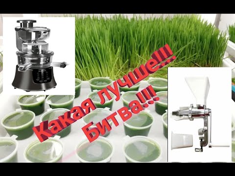 Видео: Витграсс!!! Тест соковыжималок.