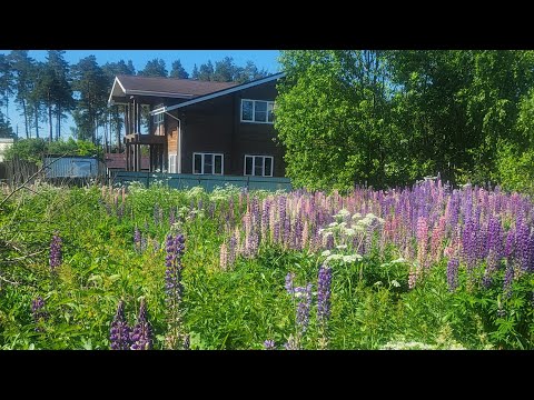 Видео: 27 января 2025 г.