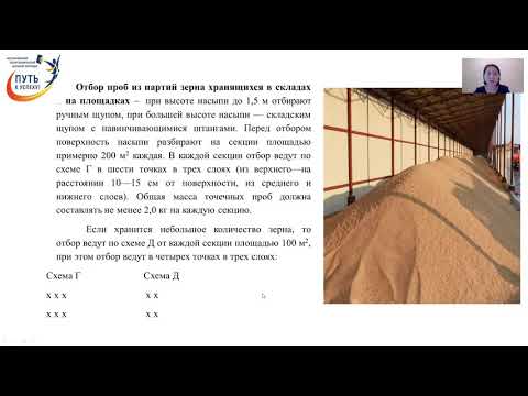 Видео: Видеоурок. Отбор проб и формирование навесок согласно требованиям. Сагандыкова Ж. Б.