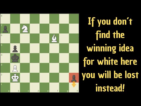 Видео: Играют белые и выигрывают!