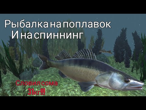 Видео: РЫБАЛКА НА ПОПЛАВОК И СПИННИНГ👍! Ultimate fishing simulator