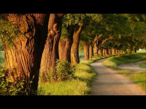 Видео: Випассана. День 10. Лекции С. Н. Гоенка / S. N. Goenka