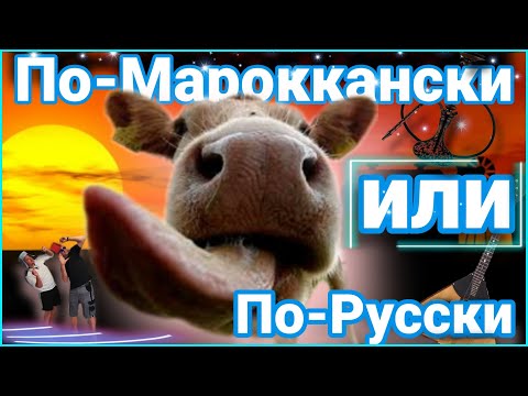 Видео: ЯЗЫК ПРОГЛОТИШЬ🍴ДЕЛИМСЯ СЕКРЕТОМ ПРАВИЛЬНОГО ПРИГОТОВЛЕНИЯ🐄