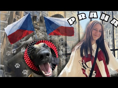 Видео: влог из Чехии (Прага)