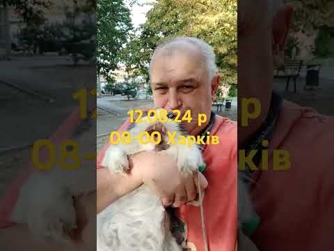 Видео: 12.09.24 р в 08-00 вийшли гуляти бо цілу ніч не давав спати кіт