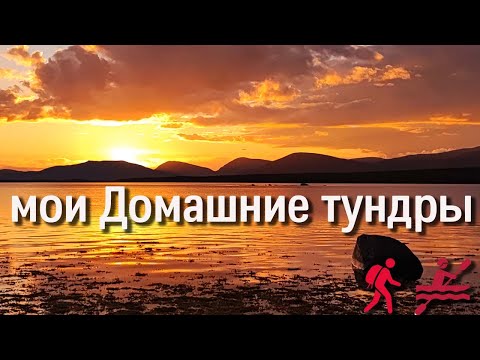 Видео: мои Домашние тундры