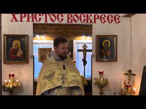 Видео: Исцеление гадаринского бесноватого. Священник Андрей Дорофейчев. Проповедь. 