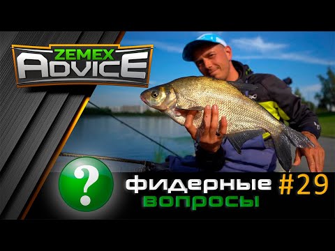 Видео: ВСЁ О ФИДЕРЕ / ОТВЕТЫ НА ВОПРОСЫ / ZEMEX Advice