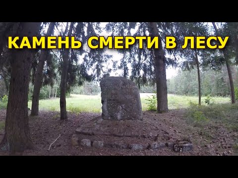 Видео: Убегал аж пятки сверкали с этого места... Нашел в лесу странный камень и потом понял что это!
