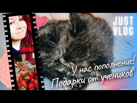 Видео: МАЙСКИЙ VLOG: От слёз к невероятной радости за 20 дней