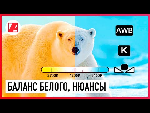 Видео: Баланс белого в видео. Как правильно настраивать.