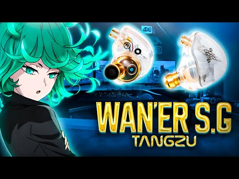 Видео: 🎧МОИ ПЕРВЫЕ IEM НАУШНИКИ🎧 |TANGZU WanER S G