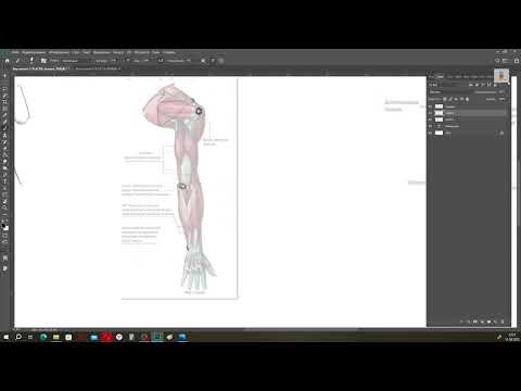 Видео: как рисовать руки