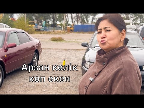 Видео: Көлік өтпей жатыр ау 400 ге береді, ақшаңды шытырлатып апарсаң