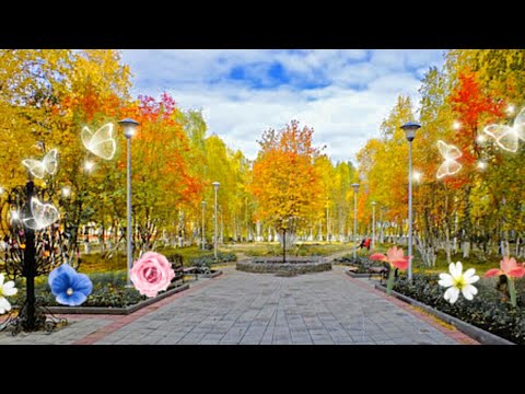 Видео: Инта - город моего детства