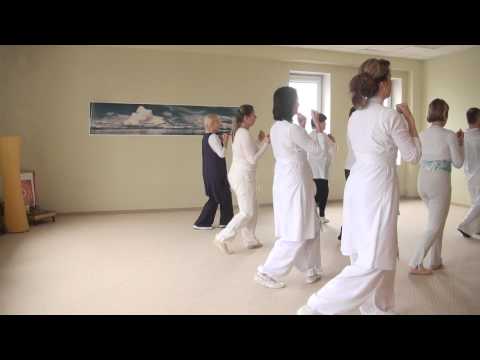 Видео: ДВИЖЕНИЯ ГУРДЖИЕВА,Александр Бельцер (Тушир)-23 марта 2014. 00213