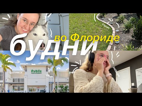 Видео: VLOG | моя жизнь во Флориде | работа, новые покупки для сада, бытовые вопросы, моя рутина