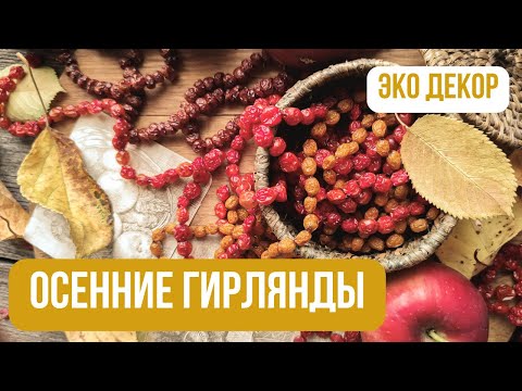 Видео: Осенний декор для дома DIY🍂 | ГИРЛЯНДА из природных материалов |  Идеи для осенних поделок