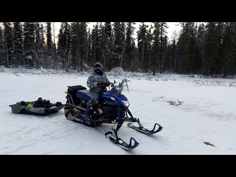 Видео: Раздача окуня на р.Етыпур