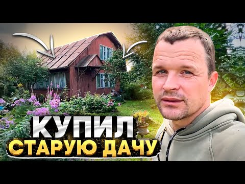 Видео: Купил старую дачу у леса.