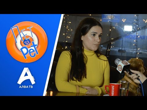 Видео: ПЕТ ЗА PET I ИВОНА ТАЛЕВСКА