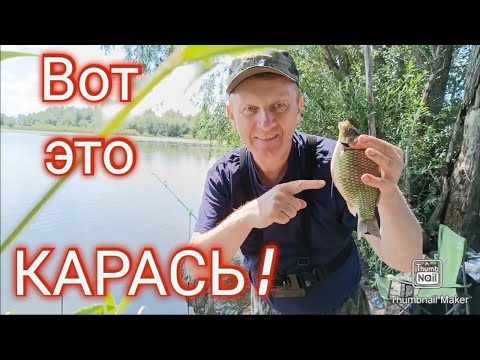 Видео: Моя лучшая рыбалка на карася !