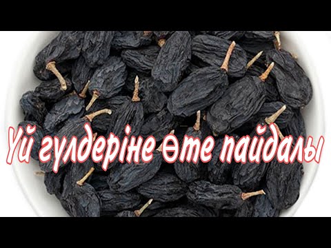 Видео: Мейізден гүлдерге тыңайтқыш. Пайдасы керемет жасалуы оңай. гүлдер әлемі. үй гүлдері күтімі