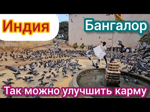 Видео: Я упёрлась и Негодую! Что я буду делать без тебя? Другую найдёшь! Муж должен быть подкаблучником!
