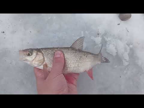 Видео: Рыбалка на Чаглинском водохранилище