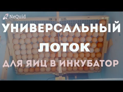 Видео: Лоток для самодельного инкубатора.Как сделать лоток для инкубатора?