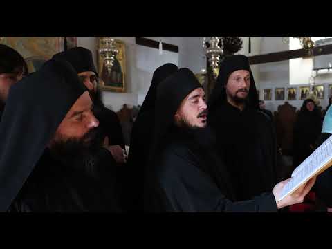 Видео: Дева днес