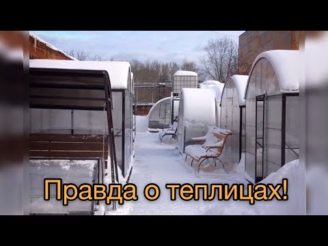 Видео: КАК ВЫБРАТЬ ТЕПЛИЦУ? ЧТО НАДО ЗНАТЬ?