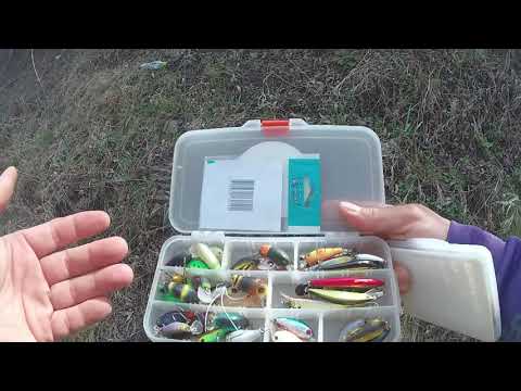 Видео: Спиннинг на мало реке  Ловля Голавля на разные приманки весной