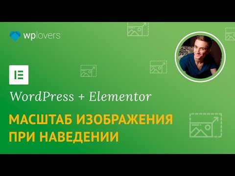 Видео: Масштабирование изображений при наведении в Elementor для WordPress