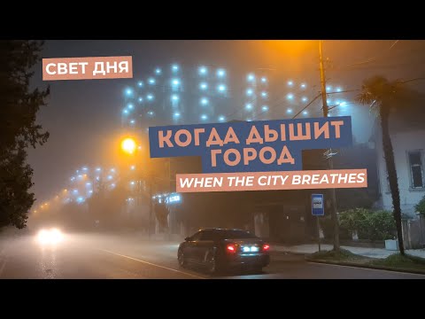 Видео: Когда дышит город. Морской туман в Кобулети. Ноябрь. 4K