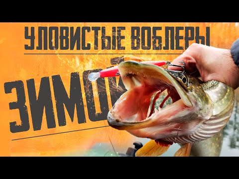 Видео: 🔴 Эти ВОБЛЕРЫ ЛОВЯТ даже ЗИМОЙ!!! УЛОВИСТЫЕ ВОБЛЕРЫ с Алиэкспресс!!! 🔥🔥🔥