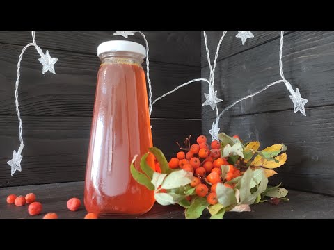 Видео: Сироп из красной рябины - быстрый домашний рецепт на зиму #сироп
