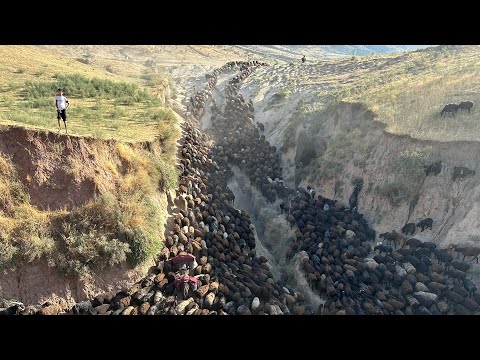 Видео: 16- Кисим Файзобод то дарёйи Элок 2024 г.