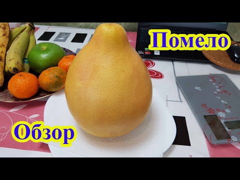Видео: Помело обзор