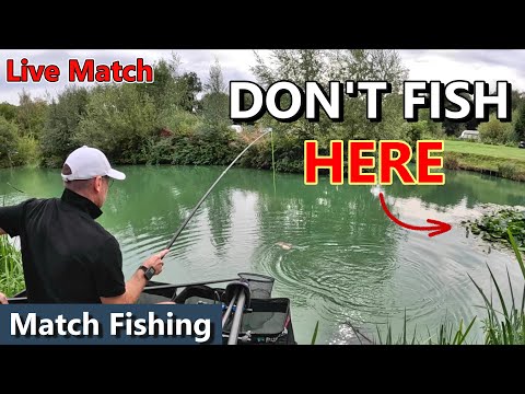 Видео: Рыбалка на спичку | Не ловите рыбу рядом с кувшинками!