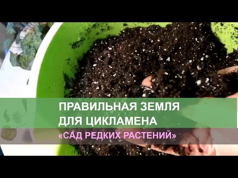 Видео: Грунт для перевалки и пересадки. Альпийская фиалка и другие цветы