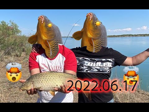 Видео: 2022 06 17  выезд на реку Или район баканаса сазан карп  carp fishing from Kazakhstan