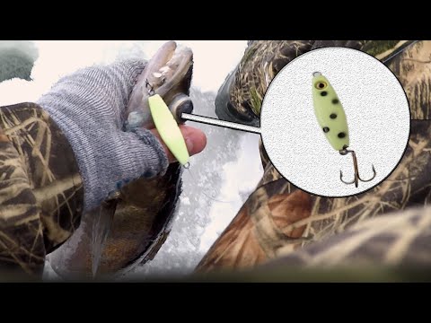 Видео: НА ЭТУ БЛЕСНУ БЕРЁТ ЛУЧШЕ | ЛОВЛЯ СУДАКА И БЕРША НА ВОЛГЕ | ЗИМНЯЯ РЫБАЛКА | АДМИРАЛ + ТЮЛЬКА.