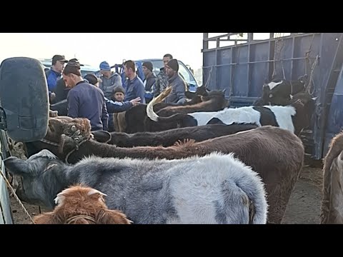 Видео: МОЛБОЗОРИ  МАСТЧОХ 1111 Ш ХУЧАНД ХАТМАН ЛАЙКОРА ЗАНЕД ОБУНАШЕД ДУСТОН